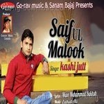 Kashi Jutt Songs MP3 Download